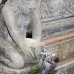 monkey_macaque_balinese_mf_ubud_v_1079_bal4797.jpg